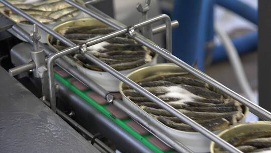 鱼罐头生产线视频素材模板下载
