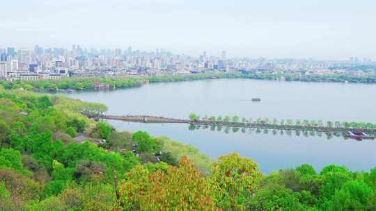 杭州西湖白堤春天桃红柳绿风景