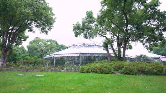 武汉植物园景观温室风景4K视频合集