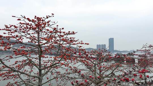 中国广东省潮州市潮州古城广济桥