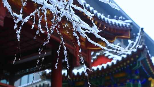 冰雪中的古树古建筑