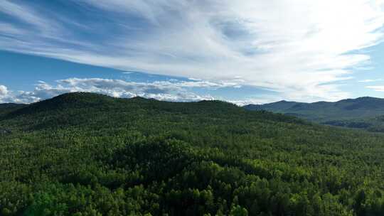 大兴安岭北部原始林区夏日风景山峦起伏视频素材模板下载