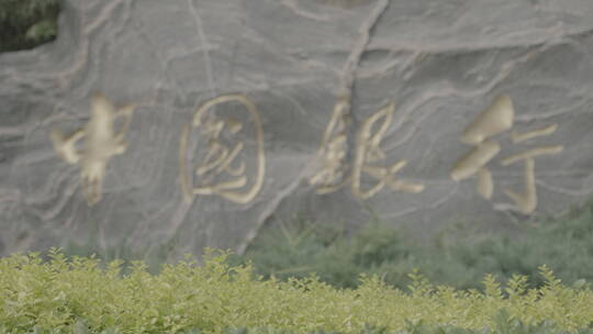 中国银行 银行素材