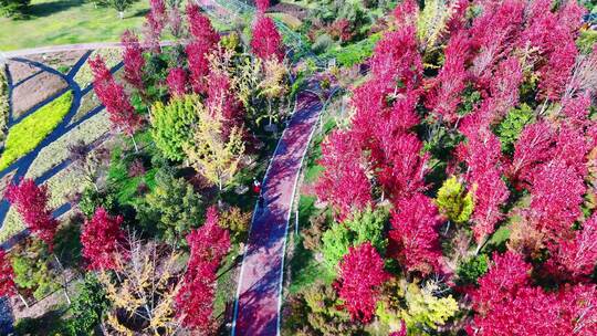 秦岭国家植物园