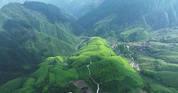 森林山路车流开车绿色出行新能源车航拍