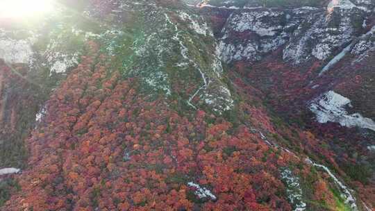 秋日红叶森林航拍满山红叶