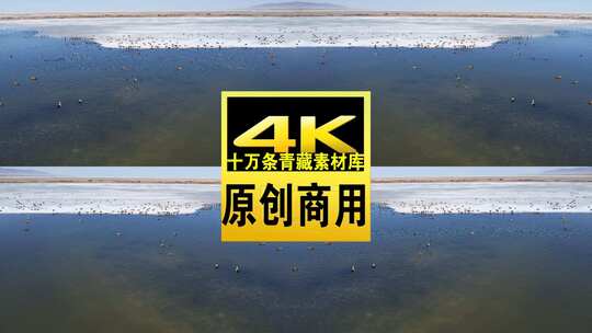 青海青海湖冬季冰面飞鸟航拍视频高清在线视频素材下载