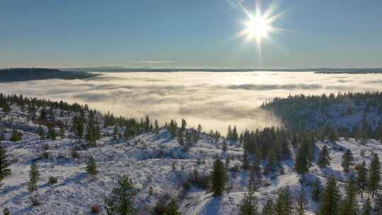 常青树的雪林，缓缓移过远处雾气弥漫的山谷