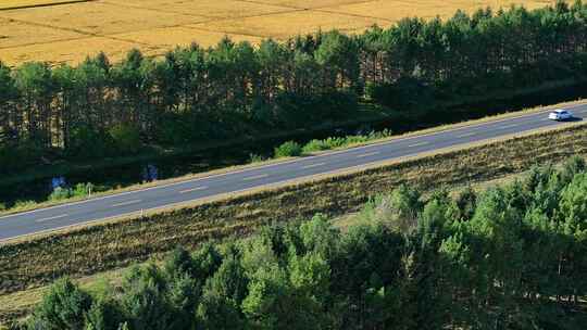 穿过树林与农田的公路航拍