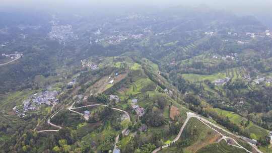 大山里的绿色茶园美景景色航拍