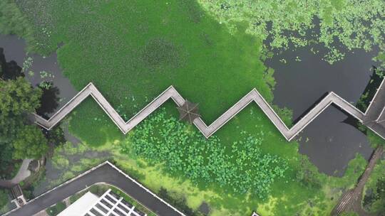 公园 湖面 俯瞰 汾湖公园 吴江 栈桥视频素材模板下载