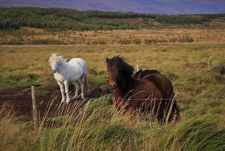 温州旧桥 怀旧 摇滚 水乡行影 宣传片