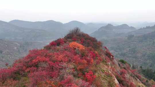 航拍湖北宜昌柳林万金山红叶14