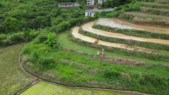 客都广东梅州市大埔县坪山梯田景点航拍