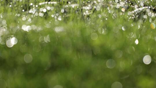 唯美阳光雨露