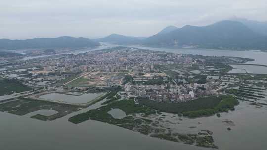 惠州盐洲岛白沙村红树林保护区