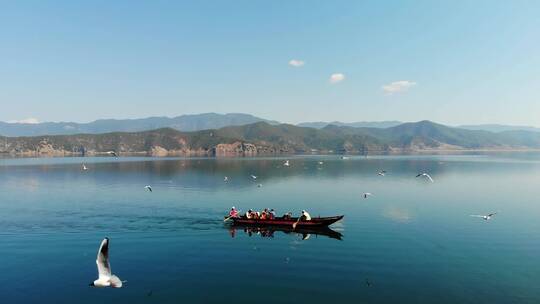 航拍泸沽湖的游客划船海鸟