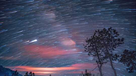 香格里拉 夜空星轨与树木风景