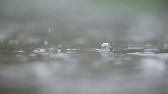 雨水滴落的镜头视频素材模板下载