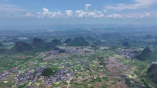 田园风光水稻产业化种植