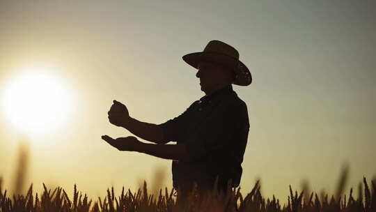 日落时农夫的剪影。