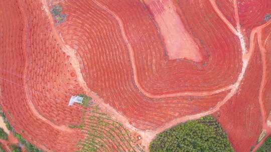 航拍山地开垦 梯田种植耕作视频素材模板下载