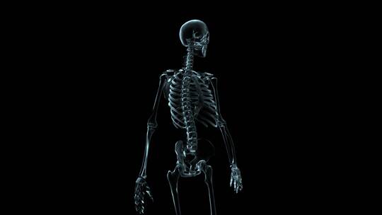 人体钢架旋转的3D医学动画