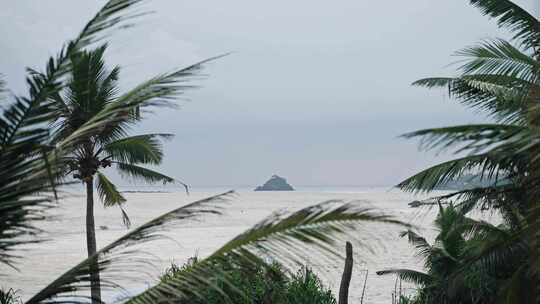 椰子树，海滩，度假村，海