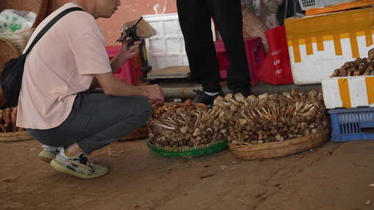 云南野生菌交易市场