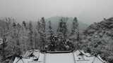 航拍杭州径山寺中式古建筑寺庙山顶森林雪景高清在线视频素材下载