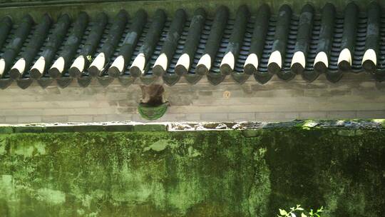 中式古典建筑江南建筑瓦片老城墙砖墙