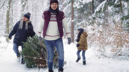 森林雪地里拉圣诞树的男人