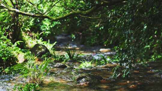 小溪流水山泉水清澈清净水资源