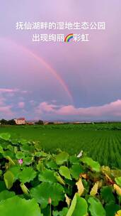 自然景观，治愈系风景，唯美意境，人间仙境