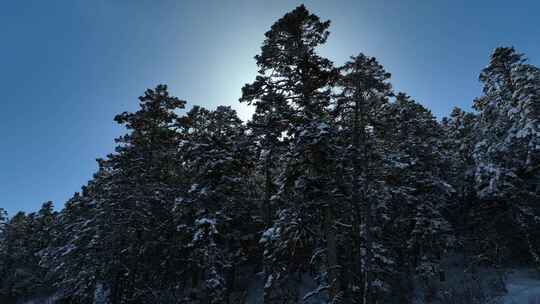 雪山航拍素材