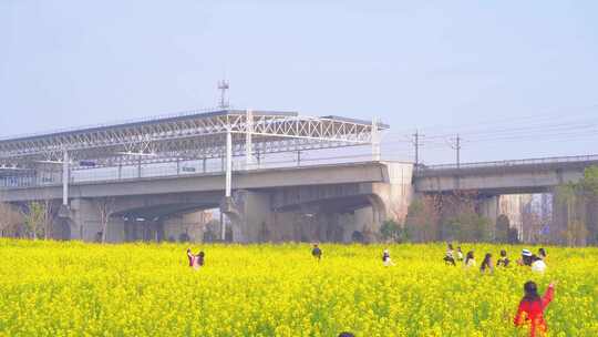 春天春游踏青风景