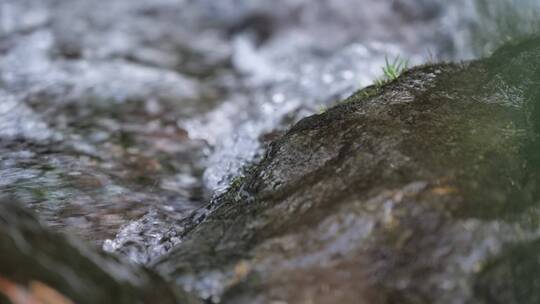 河谷大自然山泉水