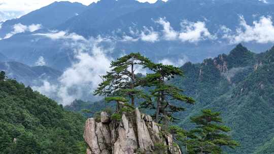 美丽中国河南伏牛山老界岭自然风光