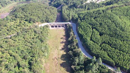 森林公路航拍树林道路汽车行驶航拍山区山路