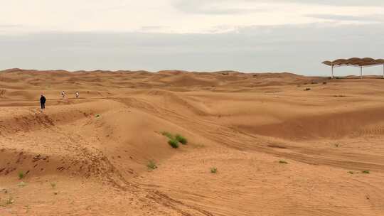 内蒙古库布齐沙漠