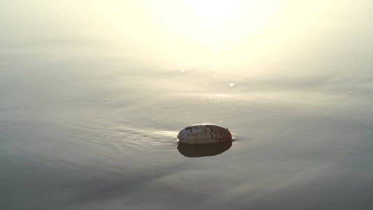 阳光沙滩下海螺贝壳海水浪花海滩沙子夕阳光