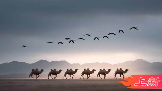 大漠驼铃丝绸之路千年回响