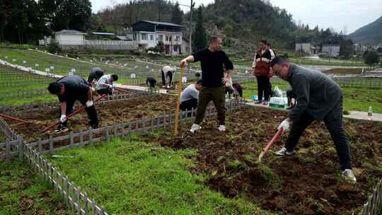 劳动空镜刨土锄地农场工人耕作劳作翻土