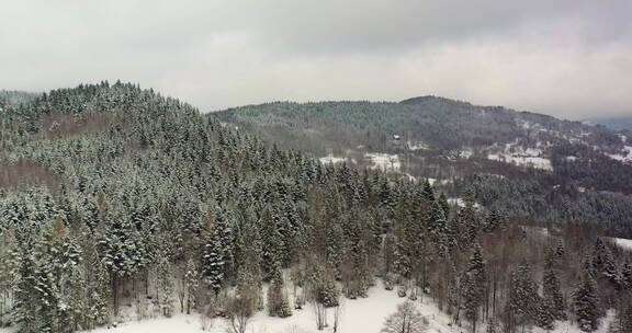 航拍被白雪覆盖的森林山川