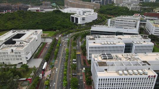 西丽大学城 南方科技大学