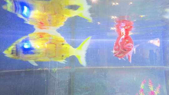 科技馆展览的机器鱼视频素材模板下载