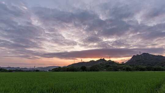 稻田延时