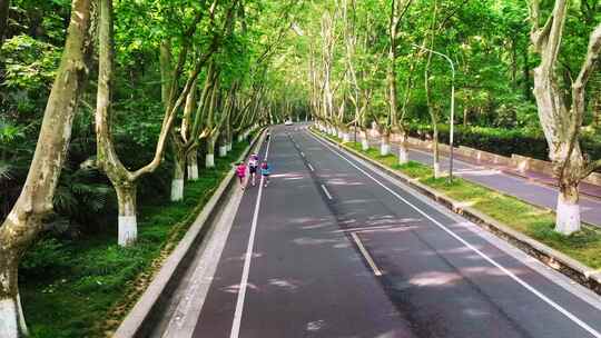 林荫大道晨跑锻炼