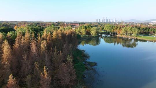 航拍无锡贡湖湾湿地公园