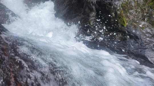 瀑布森林流水大自然小溪水山涧水源泉水山水视频素材模板下载